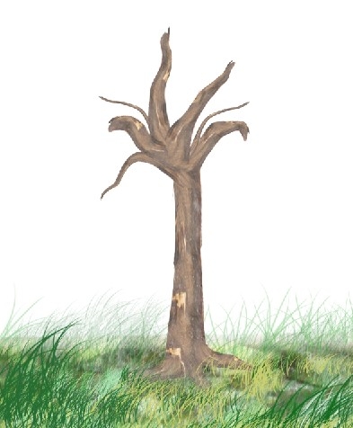 Creation of Tree: Step 6